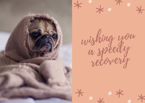 #1 Brownie Greeting - Get Well Soon